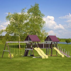 PlayMor Family Memory Maker Swing Set